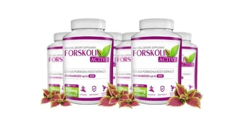 Slimores membeli - Indonesia - di apotik - harga - apa itu - ulasan - asli - harganya berapa.